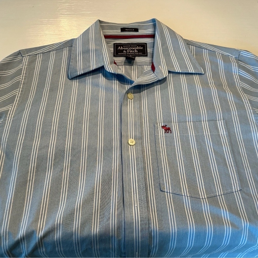 Abercrombie & Fitch Light Blue Pinstripe Shirt